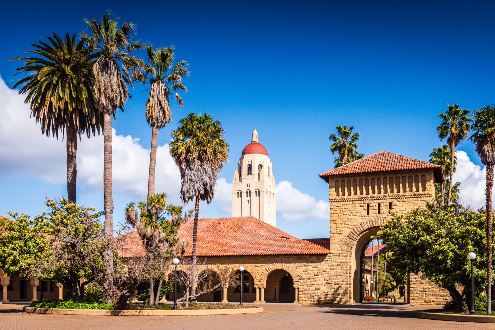 Stanford